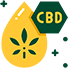 Vision Icon